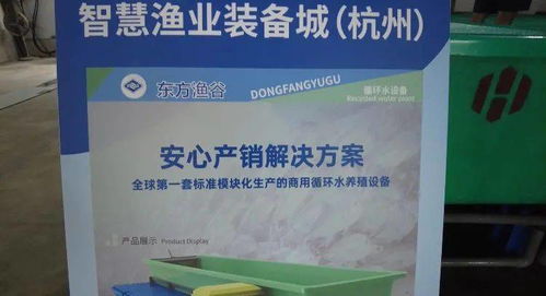 智慧渔业的新地标 装备城如何赋能工厂化养殖